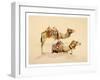 Camels from Petra, 2007-Alison Cooper-Framed Giclee Print