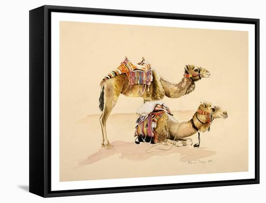 Camels from Petra, 2007-Alison Cooper-Framed Stretched Canvas