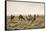 Camels grazing, Ulziit, Middle Gobi province, Mongolia, Central Asia, Asia-Francesco Vaninetti-Framed Stretched Canvas