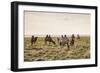 Camels grazing, Ulziit, Middle Gobi province, Mongolia, Central Asia, Asia-Francesco Vaninetti-Framed Photographic Print