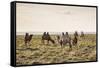 Camels grazing, Ulziit, Middle Gobi province, Mongolia, Central Asia, Asia-Francesco Vaninetti-Framed Stretched Canvas