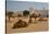 Camels in Camel Souq, Waqif Souq, Doha, Qatar, Middle East-Frank Fell-Stretched Canvas
