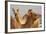 Camels in Camel Souq, Waqif Souq, Doha, Qatar, Middle East-Frank Fell-Framed Photographic Print