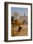 Camels in Camel Souq, Waqif Souq, Doha, Qatar, Middle East-Frank Fell-Framed Photographic Print