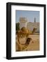 Camels in Camel Souq, Waqif Souq, Doha, Qatar, Middle East-Frank Fell-Framed Photographic Print