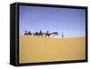 Camels in Caravan, Morocco-Michael Brown-Framed Stretched Canvas