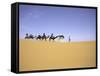 Camels in Caravan, Morocco-Michael Brown-Framed Stretched Canvas