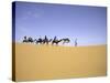 Camels in Caravan, Morocco-Michael Brown-Stretched Canvas