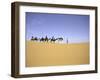 Camels in Caravan, Morocco-Michael Brown-Framed Photographic Print