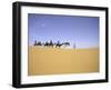 Camels in Caravan, Morocco-Michael Brown-Framed Photographic Print