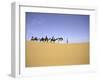 Camels in Caravan, Morocco-Michael Brown-Framed Photographic Print