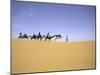 Camels in Caravan, Morocco-Michael Brown-Mounted Photographic Print