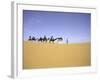 Camels in Caravan, Morocco-Michael Brown-Framed Photographic Print