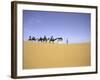 Camels in Caravan, Morocco-Michael Brown-Framed Photographic Print