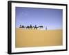 Camels in Caravan, Morocco-Michael Brown-Framed Photographic Print