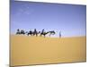 Camels in Caravan, Morocco-Michael Brown-Mounted Photographic Print