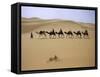 Camels in Caravan Walking in Desert, Morocco-Michael Brown-Framed Stretched Canvas