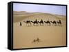 Camels in Caravan Walking in Desert, Morocco-Michael Brown-Framed Stretched Canvas