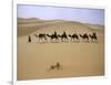 Camels in Caravan Walking in Desert, Morocco-Michael Brown-Framed Premium Photographic Print