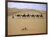 Camels in Caravan Walking in Desert, Morocco-Michael Brown-Framed Premium Photographic Print