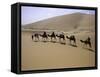 Camels in Caravan Walking in Desert, Morocco-Michael Brown-Framed Stretched Canvas