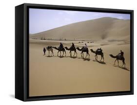 Camels in Caravan Walking in Desert, Morocco-Michael Brown-Framed Stretched Canvas