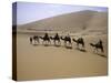 Camels in Caravan Walking in Desert, Morocco-Michael Brown-Stretched Canvas