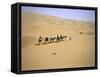 Camels in Caravan Walking in Desert, Morocco-Michael Brown-Framed Stretched Canvas