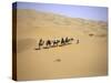 Camels in Caravan Walking in Desert, Morocco-Michael Brown-Stretched Canvas