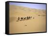 Camels in Caravan Walking in Desert, Morocco-Michael Brown-Framed Stretched Canvas