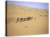 Camels in Caravan Walking in Desert, Morocco-Michael Brown-Stretched Canvas