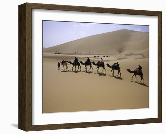 Camels in Caravan Walking in Desert, Morocco-Michael Brown-Framed Photographic Print