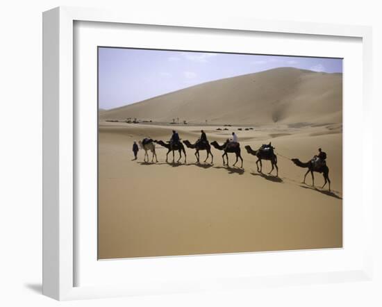 Camels in Caravan Walking in Desert, Morocco-Michael Brown-Framed Photographic Print