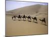 Camels in Caravan Walking in Desert, Morocco-Michael Brown-Mounted Photographic Print