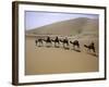 Camels in Caravan Walking in Desert, Morocco-Michael Brown-Framed Photographic Print