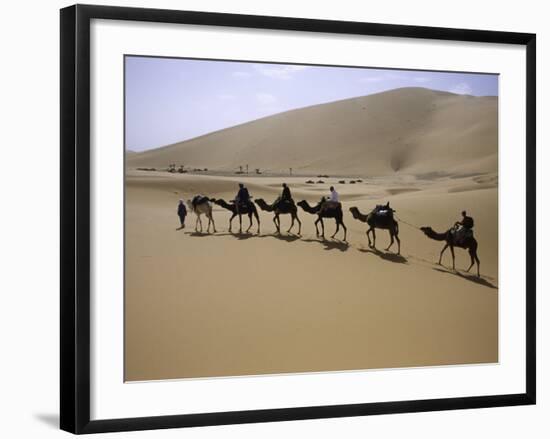 Camels in Caravan Walking in Desert, Morocco-Michael Brown-Framed Photographic Print