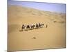 Camels in Caravan Walking in Desert, Morocco-Michael Brown-Mounted Photographic Print