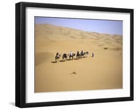 Camels in Caravan Walking in Desert, Morocco-Michael Brown-Framed Photographic Print