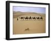 Camels in Caravan Walking in Desert, Morocco-Michael Brown-Framed Photographic Print