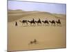 Camels in Caravan Walking in Desert, Morocco-Michael Brown-Mounted Photographic Print
