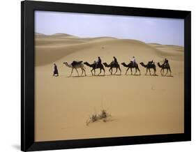 Camels in Caravan Walking in Desert, Morocco-Michael Brown-Framed Photographic Print