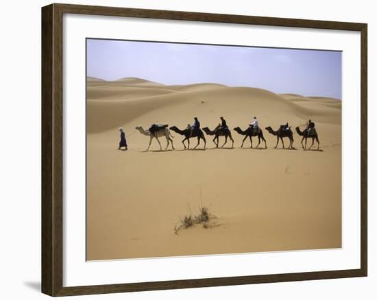 Camels in Caravan Walking in Desert, Morocco-Michael Brown-Framed Photographic Print