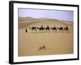 Camels in Caravan Walking in Desert, Morocco-Michael Brown-Framed Photographic Print