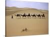 Camels in Caravan Walking in Desert, Morocco-Michael Brown-Stretched Canvas