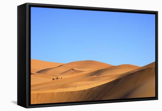 Camels in Desert Landscape, Merzouga, Morocco, North Africa, Africa-Neil-Framed Stretched Canvas