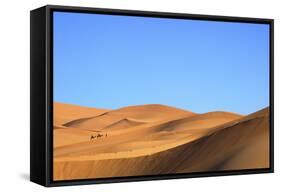 Camels in Desert Landscape, Merzouga, Morocco, North Africa, Africa-Neil-Framed Stretched Canvas