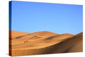 Camels in Desert Landscape, Merzouga, Morocco, North Africa, Africa-Neil-Stretched Canvas