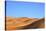 Camels in Desert Landscape, Merzouga, Morocco, North Africa, Africa-Neil-Stretched Canvas