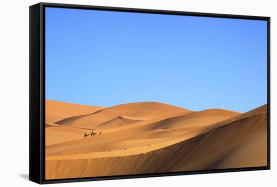 Camels in Desert Landscape, Merzouga, Morocco, North Africa, Africa-Neil-Framed Stretched Canvas