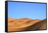 Camels in Desert Landscape, Merzouga, Morocco, North Africa, Africa-Neil-Framed Stretched Canvas